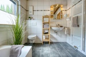 a bathroom with a sink and a toilet at Ferienhaus Immenhof in Rieden