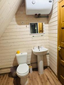 a bathroom with a toilet and a sink at Ezermala in Dagda