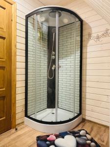 a shower in a room with a glass window at Ezermala in Dagda