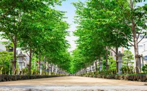 a tree lined street in a city with buildings at 海と富士山を望む4名1棟貸し古民家宿 最大7名 鎌倉エリアの隠れ家 in Zushi