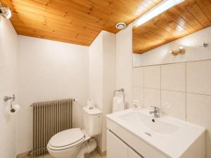 a bathroom with a white toilet and a sink at Le Cornas in Vérin +10 photos