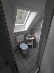 an attic bathroom with a toilet and a window at Ferienwohnung Laeticia in Stedesdorf
