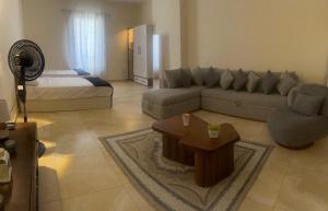a living room with a couch and a bed at New Alamein Latine district Spacious studio direct Lagon view in El Alamein