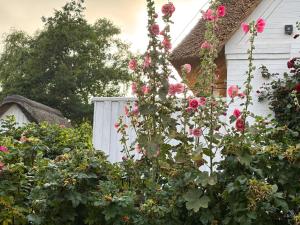 a bunch of flowers in front of a house at Deichhof Whg Luana in Dunsum