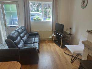 a living room with a leather couch and a television at Drumeenagh Lodge in Limestone Brook Bridge