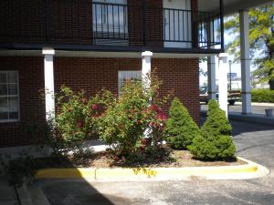 Gallery image of First Heritage Inn Rantoul in Rantoul