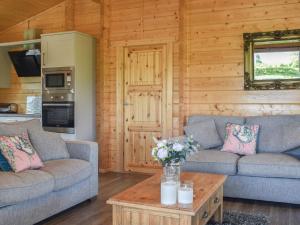 a living room with two couches and a coffee table at Pine Lodge - Uk30007 in Lindal in Furness