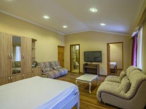 a living room with a bed and a tv at Hotel Iveria in Abastumani