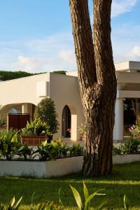 a house with a tree in front of it at SOL by Meliá Tropikal Durres in Durrës