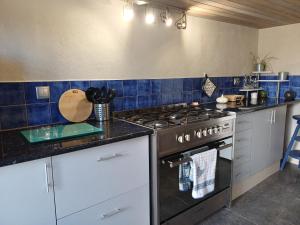 a kitchen with a stove and blue tiles at Lugar dos Meandros 