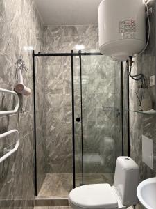un bagno con doccia, WC e lavandino di Hotel Sofiyvka Park a Umanʼ
