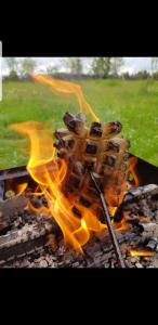 a camp fire with a bunch of food on it at Cabana Codrii Apusenilor - Matis in Râșca