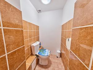 a bathroom with a toilet and tiled walls at Apartment Riedlovka 2 by Interhome in Polubný +16 photos