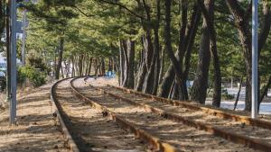 a train track through a forest of trees at Samcheok ara Pension in Samcheok
