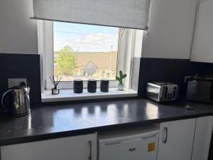 a kitchen counter with a window with potted plants on it at The M Rooms at 158 in Shotts Station