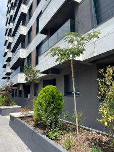 an apartment building with a tree in front of it at E&M Apartman in Struga