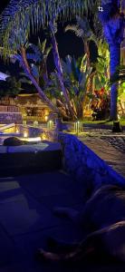 a resort with palm trees and lights at night at B&Bilfortesulmare in Ventimiglia