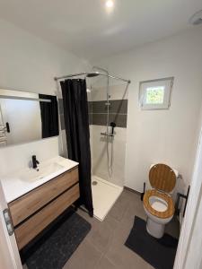 a bathroom with a shower and a toilet and a sink at Chalet Jean Leclaire in Sarlat-la-Canéda