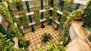 an overhead view of arium of a building with plants at Apartamentos Vértice Bib Rambla in Seville