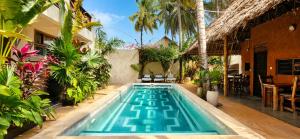 an outdoor swimming pool in a house with plants at BamBam Bungalows Zanzibar in Nungwi