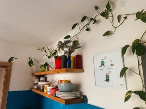a room with wooden shelves and plants on the wall at Tbilisi Vake Inn in Tbilisi City
