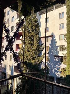 a christmas tree reflection in the window of a building at Tbilisi Vake Inn in Tbilisi City
