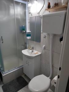 a bathroom with a shower and a toilet and a sink at My Way in Beograd