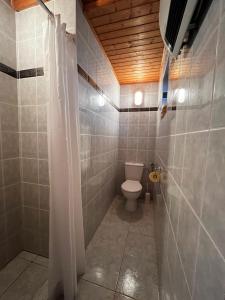 a bathroom with a toilet in a room at Sziget Apartman Fonyód in Fonyód +8 photos