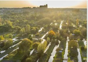 an aerial view of a forest of trees at Chambre Simple avec parking gratuit in Bourges