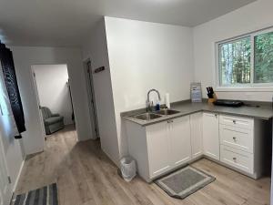 a kitchen with a sink and a counter top at Chicken Shack Motel in Batchawana