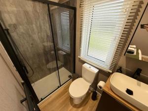 a bathroom with a toilet and a shower and a sink at Rosetta Retreats in Peebles