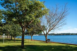 a park with trees and a bench next to the water at The Sun Full Condominiun in Brasília
