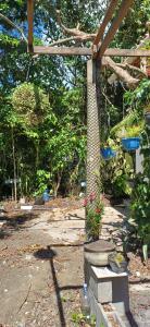 a garden with a pergola and some plants at Casinha do Pedro próximo ao ponto do trator - Casinha branca in Ilha de Boipeba