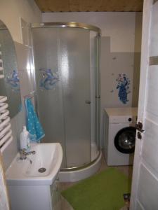 a bathroom with a shower and a sink and a toilet at Zakątek u Basi in Twierdza