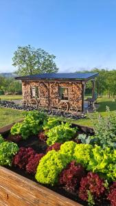 a garden in front of a small house with flowers at RANČ Dida in Ženavlje