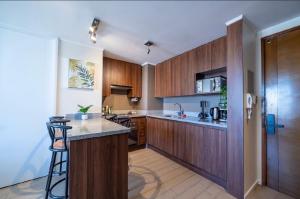 a kitchen with wooden cabinets and a counter top at Suite moderna espacio parque in Calama
