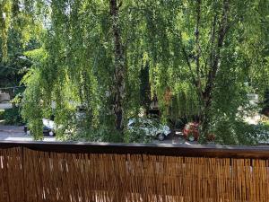 a fence in front of a yard with trees at My Way in Beograd