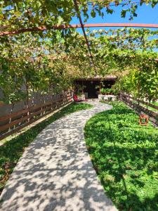 a walkway in a park with trees and grass at Casa La Balauri in Drobeta-Turnu Severin