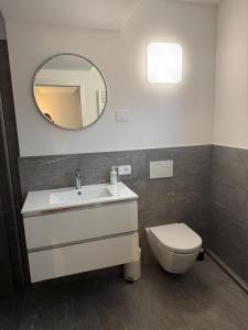 a bathroom with a sink and a toilet and a mirror at Condhotel Fanti Ski & Bike in Valdisotto +37 photos