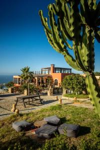 a house with a cactus in front of it at Le Nid d'Aigle in Mirleft