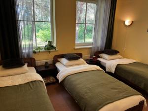 three beds in a room with two windows at Auksinė giria in Kernavė