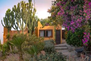 a house with a garden with flowers and trees at Le Nid d'Aigle in Mirleft