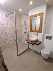 a bathroom with a shower and a sink and a toilet at Delux Apartament in Haţeg