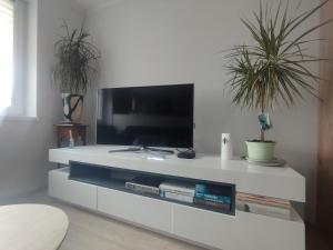 a white entertainment center with a tv and two potted plants at Apartament Na Głucho in Nysa