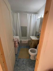 a bathroom with a toilet and a sink at Apartament 2 camere R4 in Siret