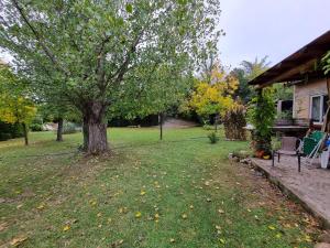 a tree in a yard next to a house at Cabañas Rio de Oro in Mina Clavero