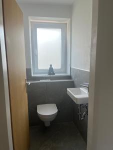a bathroom with a toilet and a sink and a window at Appartement Kochen in Döbriach
