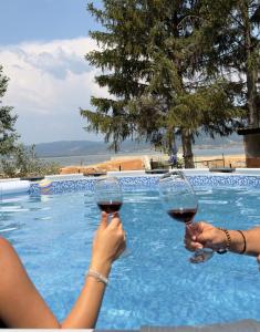 two people holding wine glasses in front of a swimming pool at Dedinski Raj in Golubac