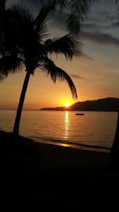 uma palmeira na praia com um pôr do sol em Chalé da Dô em Ilhabela