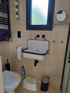 a bathroom with a sink and a toilet at La tiny de Miss Purple in Chantelle +17 photos